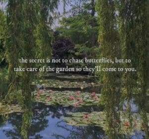 garden and pond with lilies